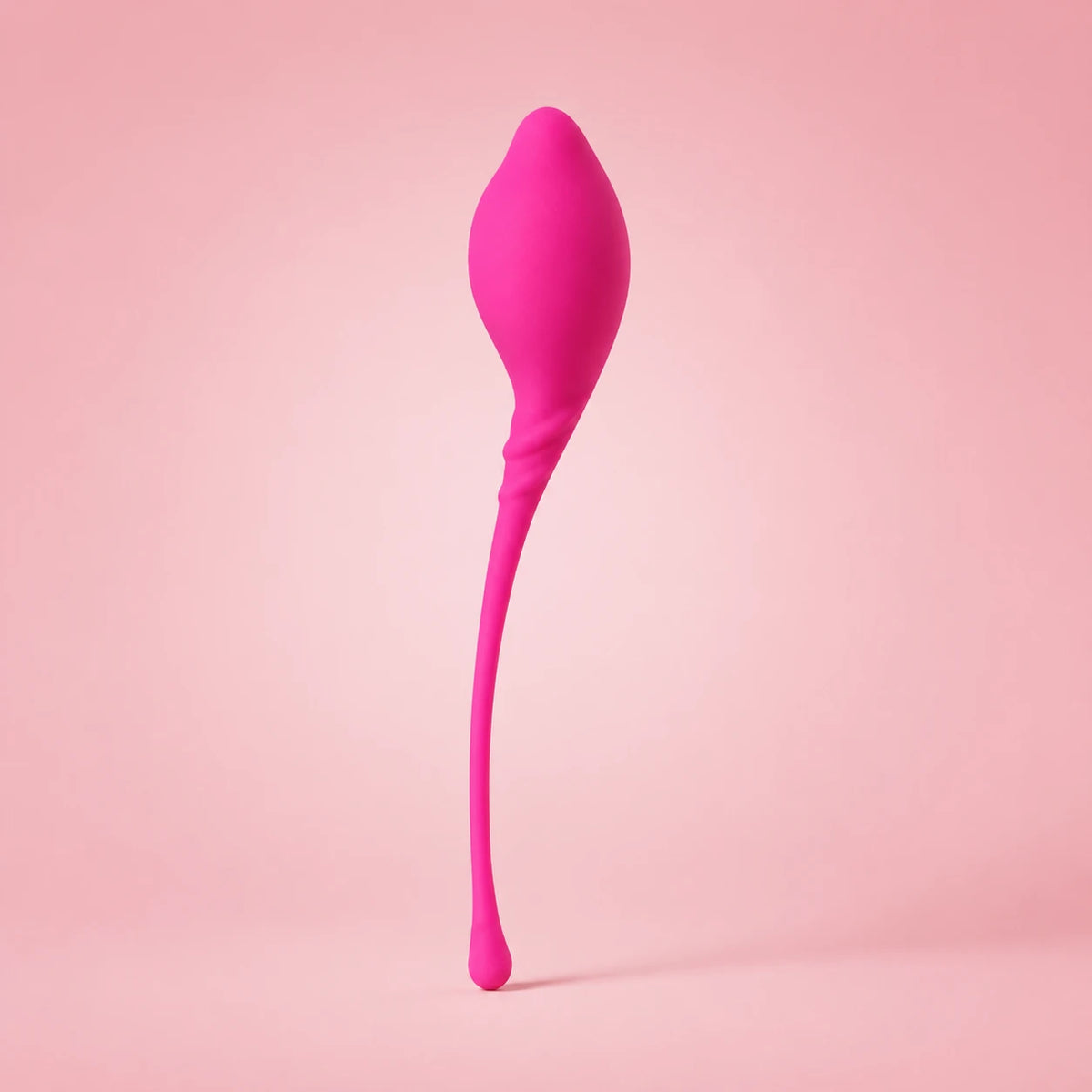 Pelvic Floor Exercises Premium Silicone Cone Female Training Kit