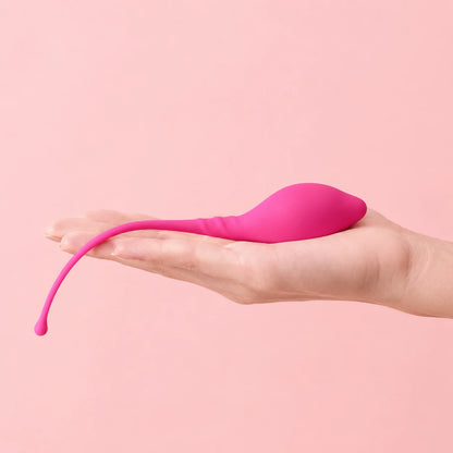 Pelvic Floor Exercises Premium Silicone Cone Female Training Kit